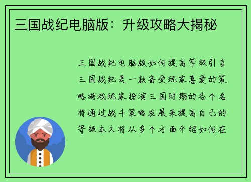 三国战纪电脑版:升级攻略大揭秘